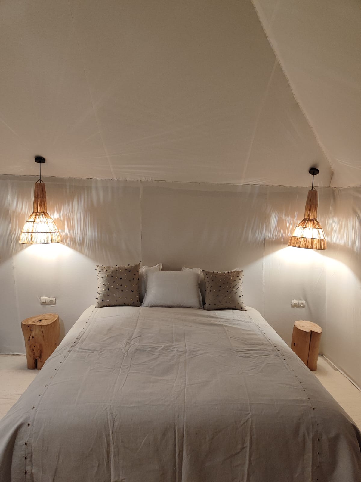 WhatsApp Image 2025-03-21 à 22.41.49_0515dd35.jpg